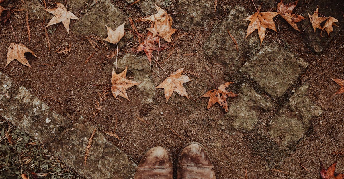 Brown leather shoes on a cobblestone path, highlighting the right footwear choice for Ireland