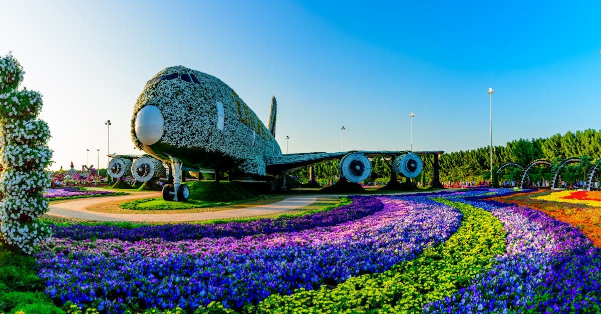 Colourful floral Airbus A380 display at Dubai Miracle Garden, a unique highlight among things to do in Dubai