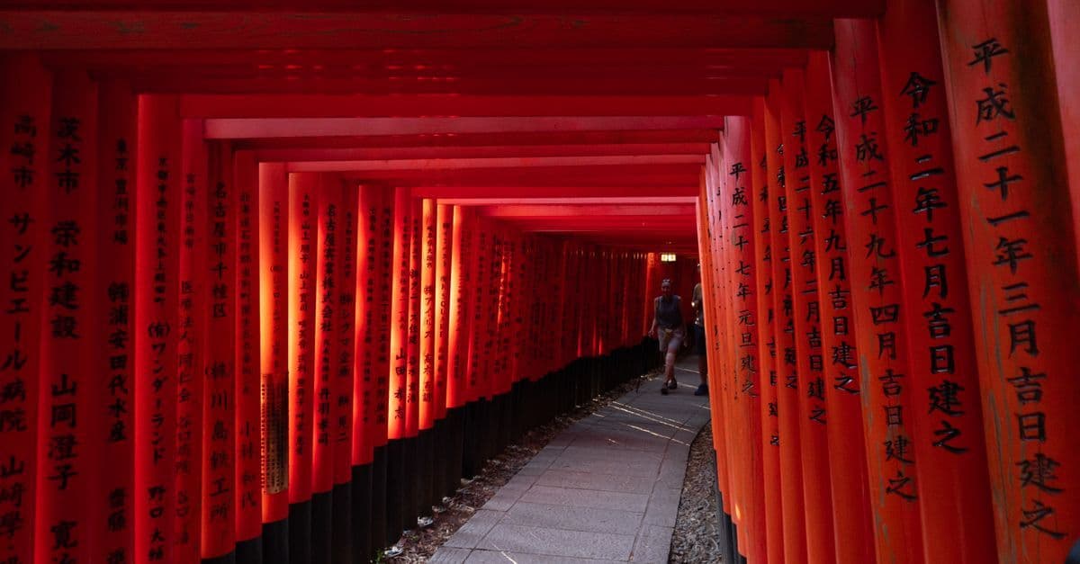 A traveler walks through a tunnel of red torii gates covered in Japanese writing.