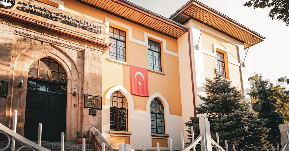 Yurt dışından e okul'a erişimi simgeleyen Türk bayraklı Anadolu Üniversitesi binası güneş ışığında