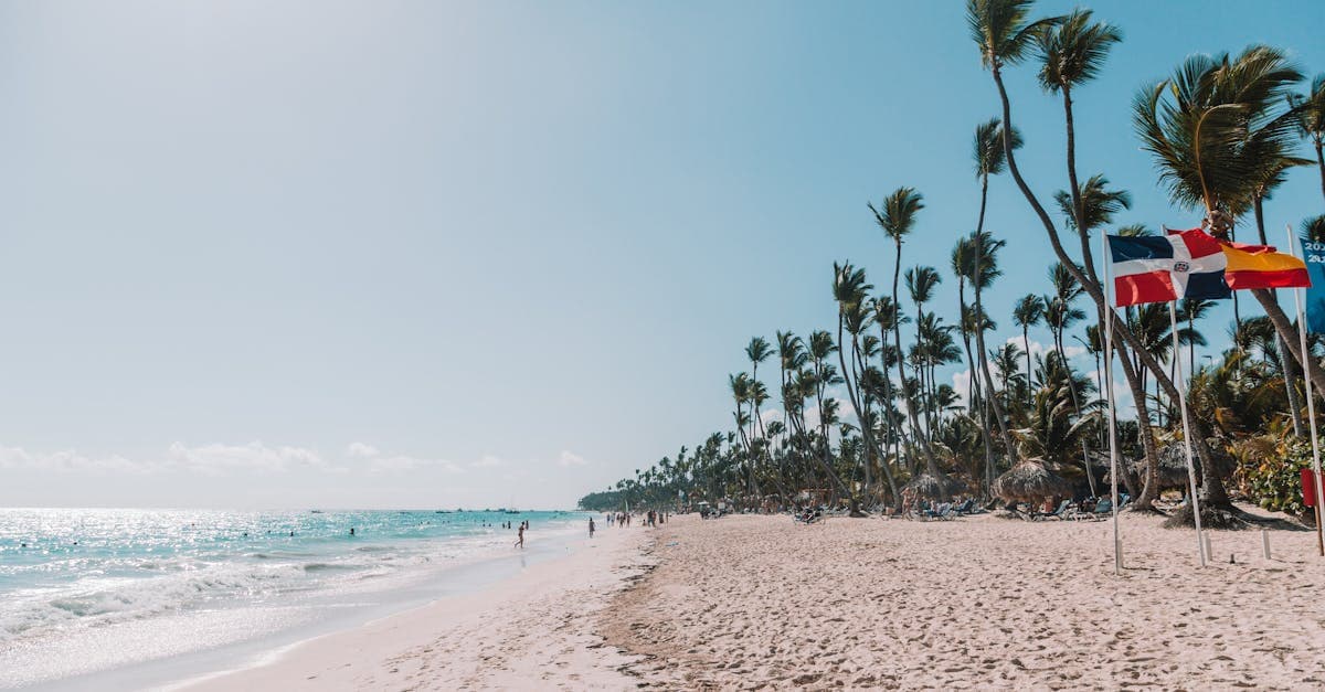 Plage de Punta Cana avec palmiers au vent, what to do in punta cana selon les voyageurs canadiens
