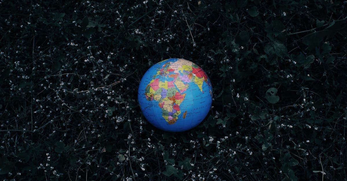 Digital Planet'in sahipliğini sembolize eden koyu çimenlerin üzerindeki renkli küçük Dünya küre oyuncağı