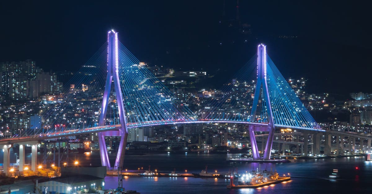 부산에서 할 수 있는 야경 감상 명소인 밤의 화려한 조명 케이블 교각 다리