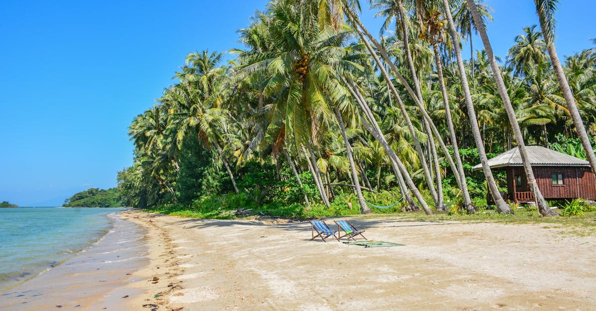 Palmengesäumter Strand auf Ko Mak – perfekte Kulisse für einen gut vorbereiteten Thailand Urlaub 2026