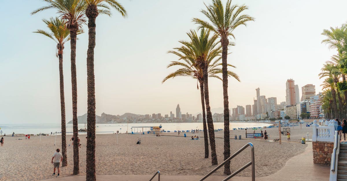 Palm trees frame Benidorm's golden beach at sunset, with the city skyline showing the choice of areas to stay.