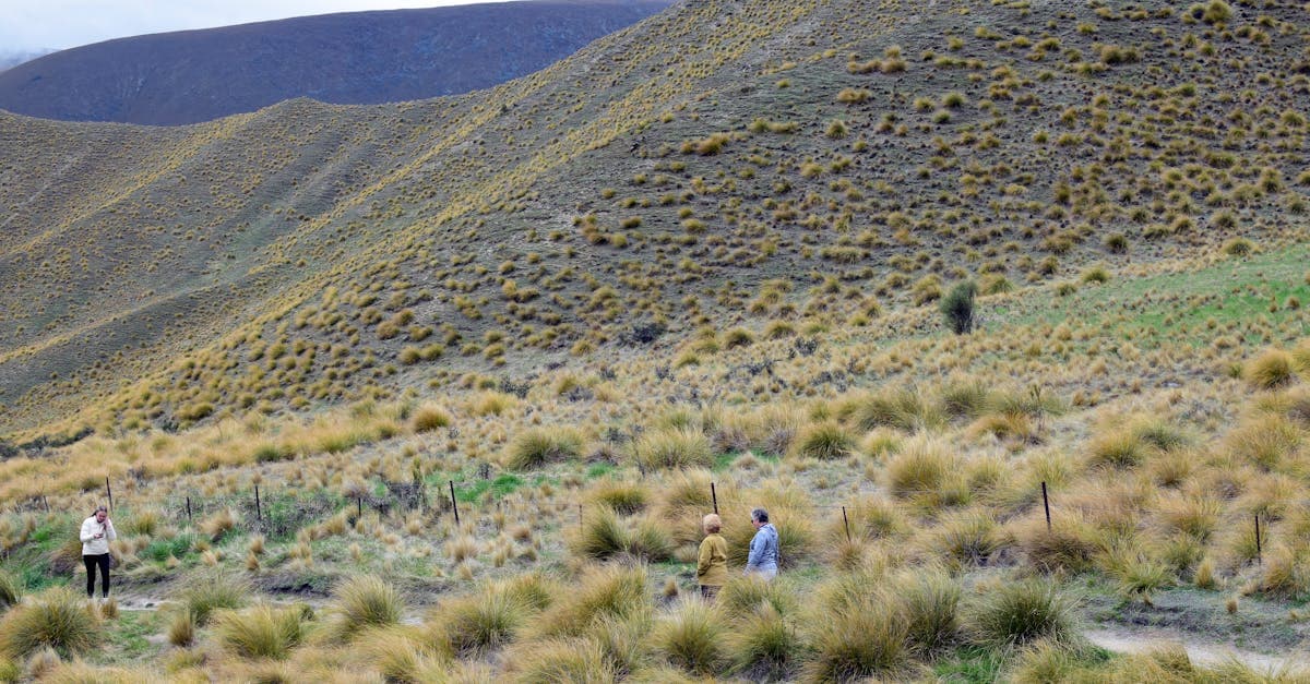 Hikers exploring Otago's expansive hillside landscape where mobile plans NZ coverage is put to the test.![image