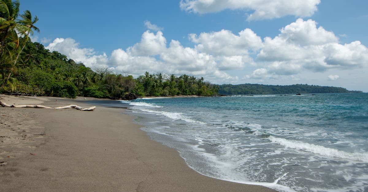 A quiet tropical beach with gentle waves, driftwood and dense green forest beneath a partly cloudy sky.