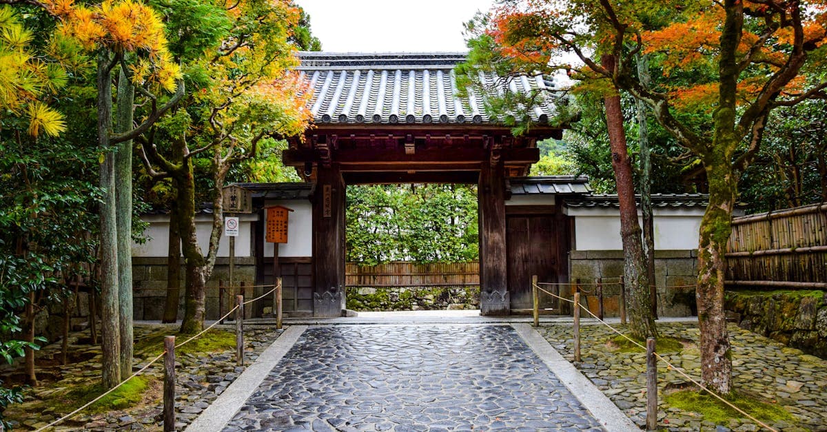 Portão de templo japonês envolto por folhagem de outono em tons de vermelho e laranja