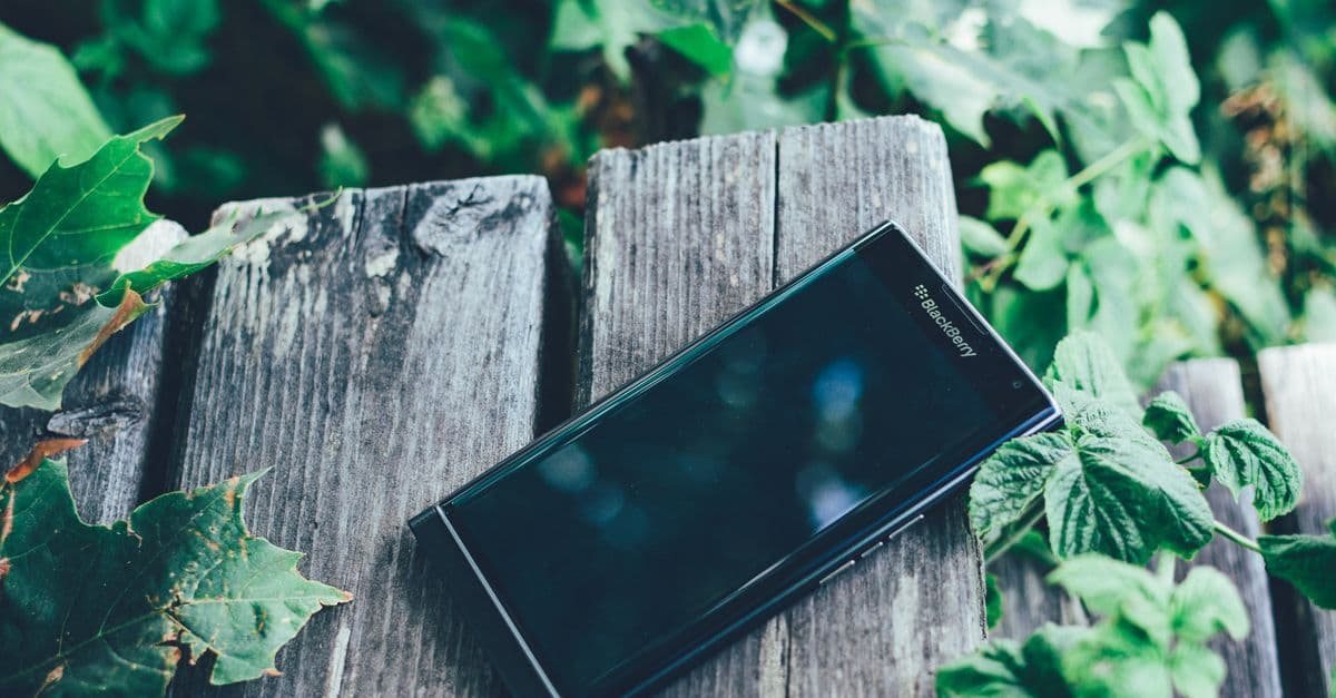 Abandoned BlackBerry smartphone on weathered wood entwined with green ivy, symbolizing the brand's decline.