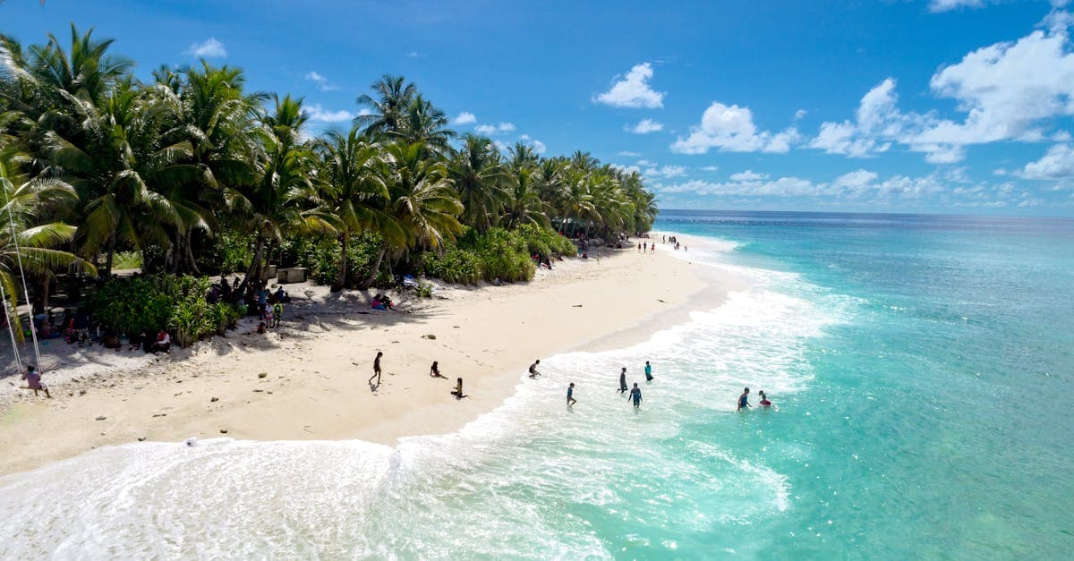 Aerial view of a palm-fringed Maldivian beach with clear waters and visitors enjoying peak-season sunshine