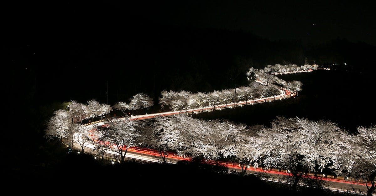 혼자 여행 완벽 가이드 2026: 처음 혼행러를 위한 준비부터 실전까지 - eSIM and international travel guide by HelloRoam