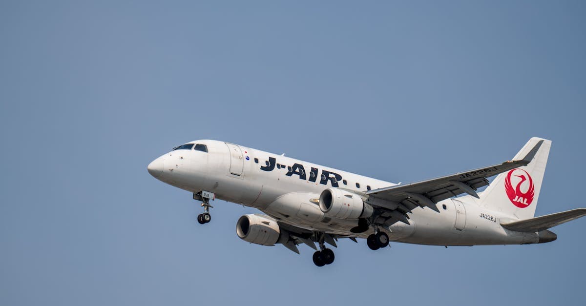 Flights to Japan From the UK: Routes, Costs and When to Book in 2026 - article thumbnail