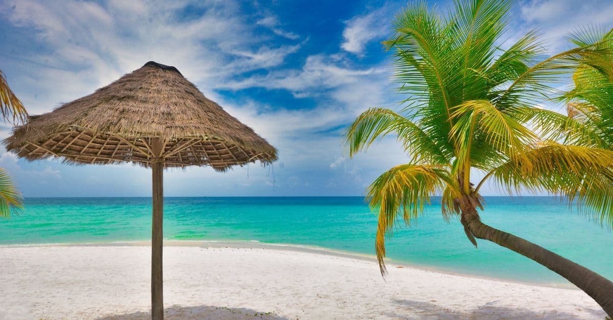 Słomiany parasol i pochylona palma stoją na białej plaży nad turkusowym morzem.