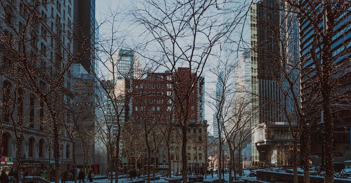 Downtown New York City glowing with warm twinkling lights on a crisp winter evening.