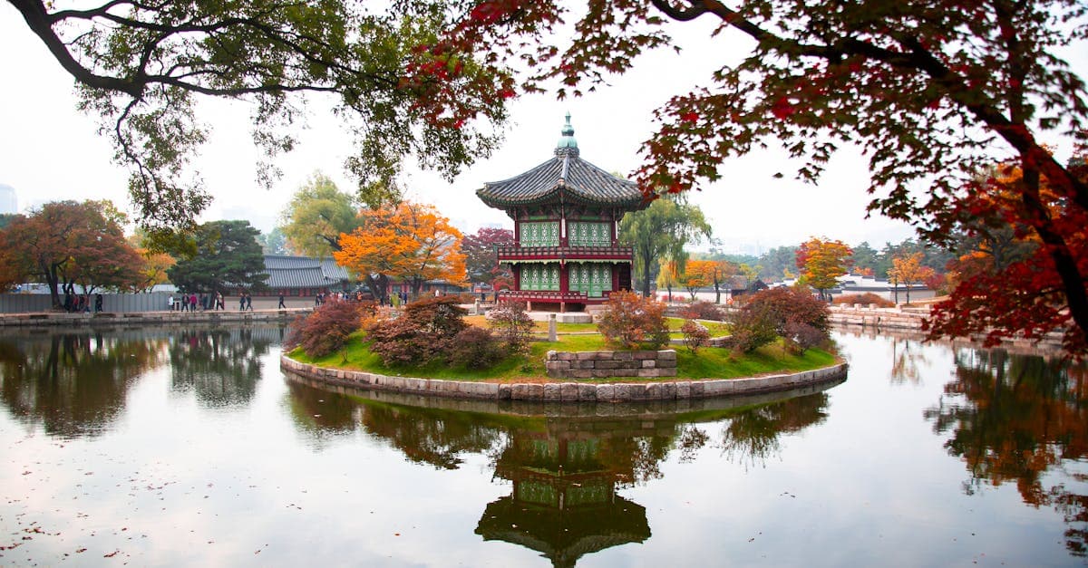 Nhà thủy tạ Hyangwonjeong Seoul bao quanh bởi lá mùa thu, minh họa thời tiết Hàn Quốc 4 mùa rõ rệt.