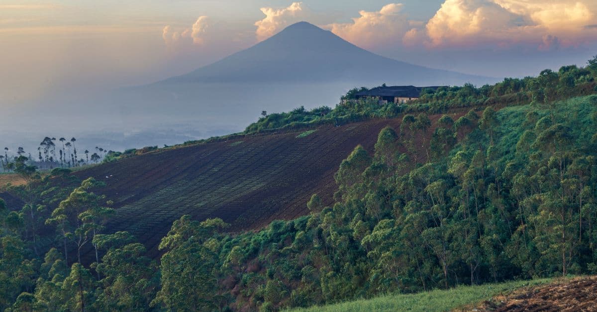 A mountain rises beyond forested hills and cultivated fields beneath glowing clouds at sunset.