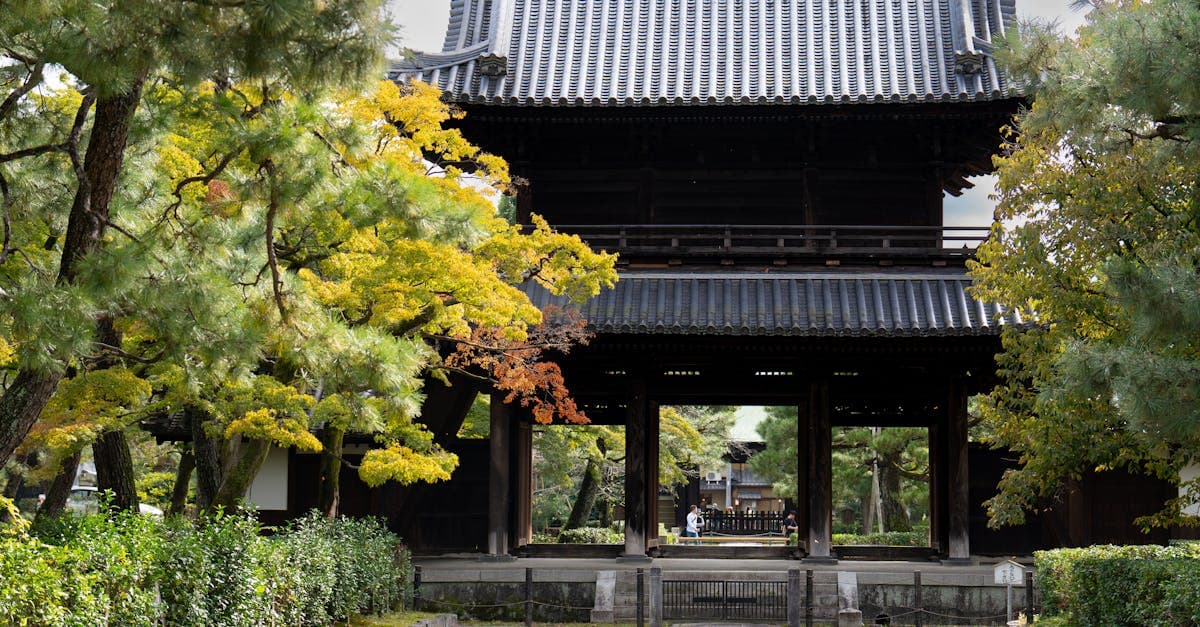 Portão de templo japonês emoldurado por folhagem de outono vibrante, representando o best time to visit japan