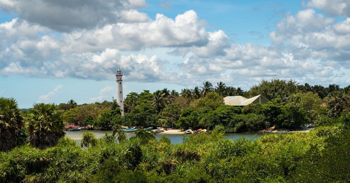 Serene Batticaloa Lagoon waters and tropical greenery, perfect for beaches and wildlife visits in Sri Lanka