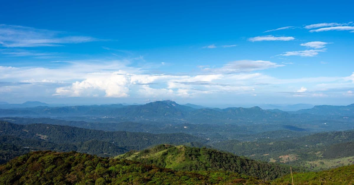 Lush green Sri Lankan highlands under clear skies — discover the best time to visit Sri Lanka