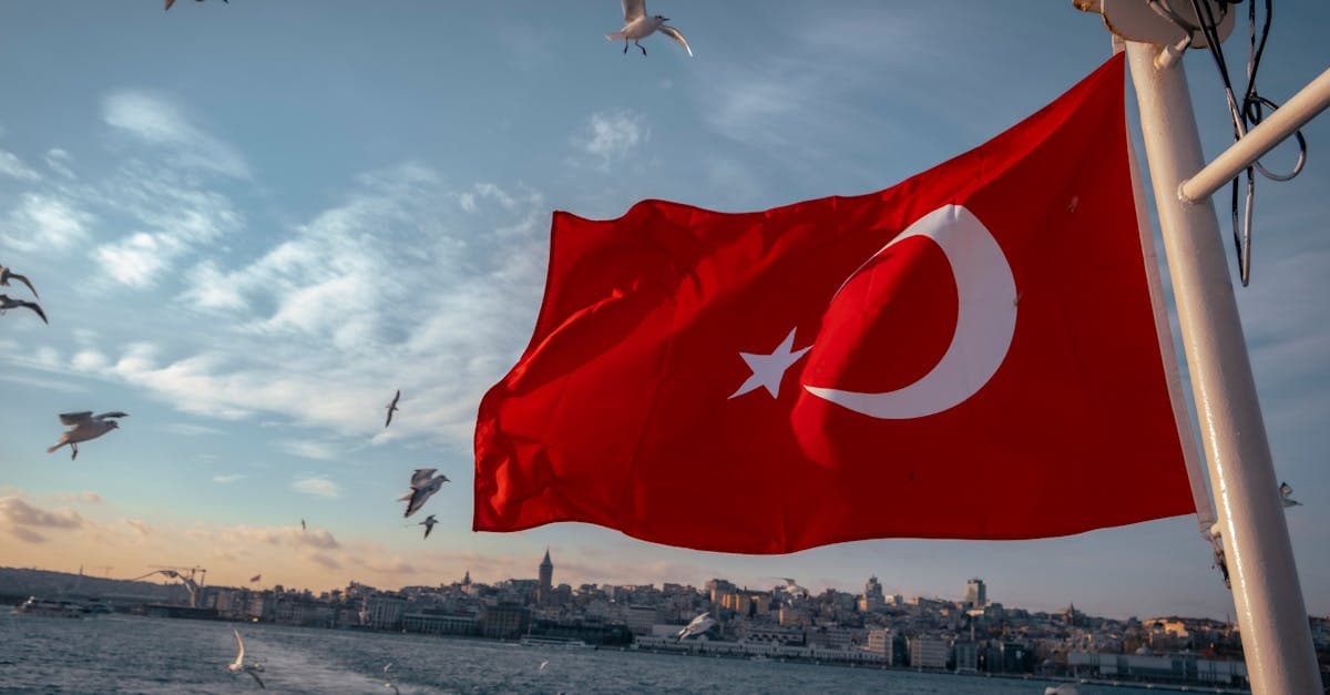 Vize Nasıl Alınır: 2026 Adım Adım Başvuru Rehberi - eSIM travel guide by HelloRoam