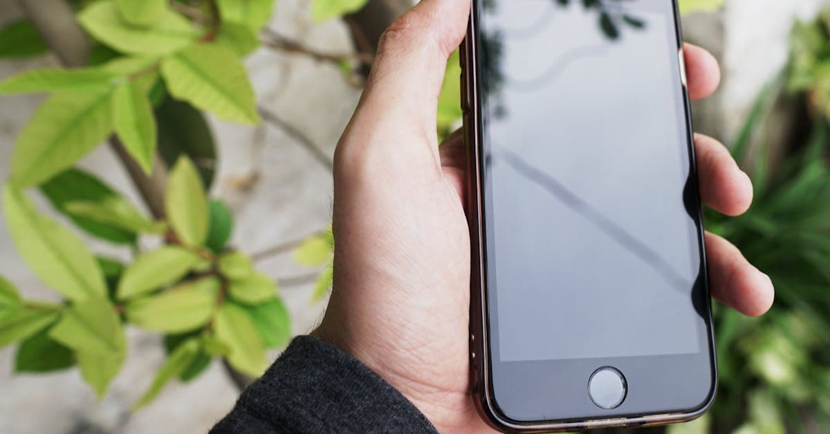 緑の葉を背景にスマートフォンを手に持ち、iphone 初期化で消去されるデータの範囲を確認している様子