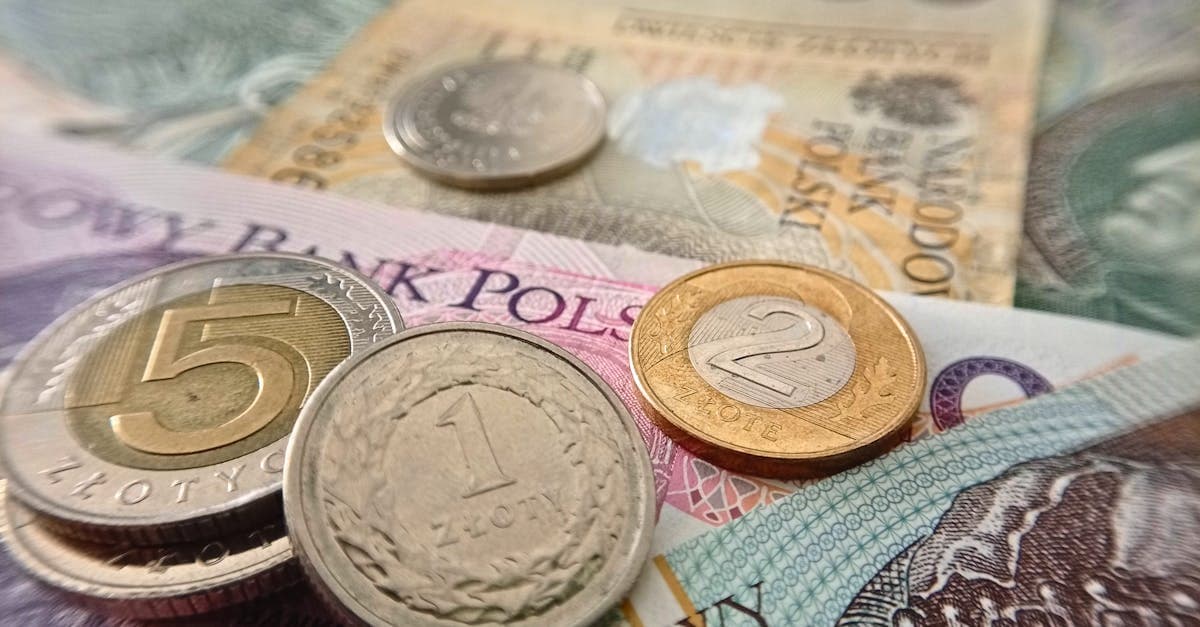 Polskie monety i banknoty złotówkowe – przydatna wiedza przed wymianą waluty na wycieczkę do Pragi