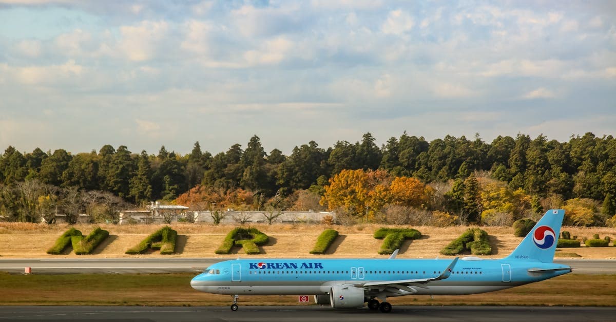 成田空港の滑走路に駐機する韓国系航空会社の旅客機、日本人が韓国 入国 手続きに必要な書類と事前準備の案内