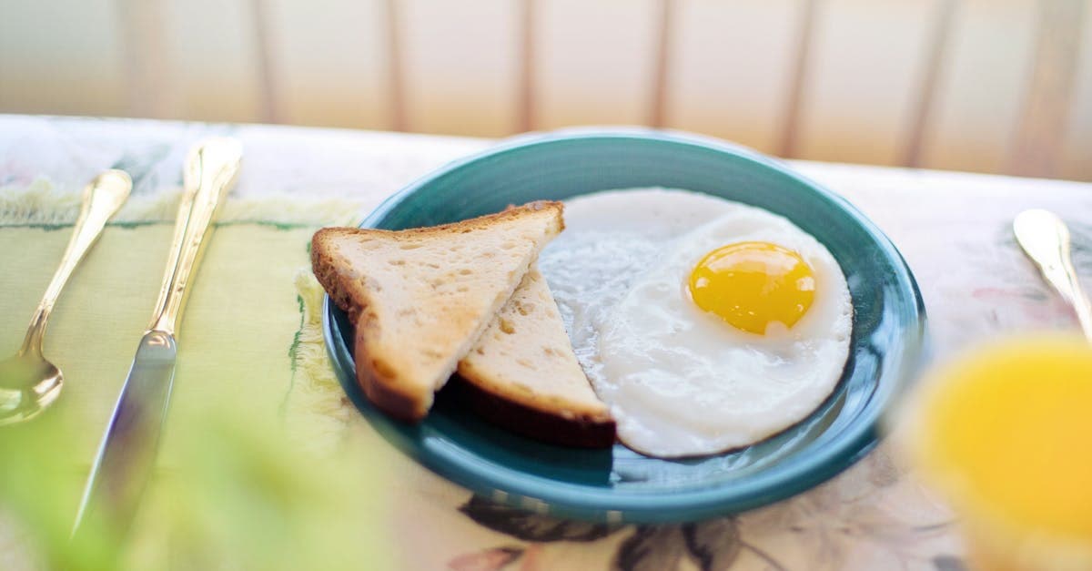 Toasted bread and fried egg on a plate, representing what to eat in Spain for a typical breakfast