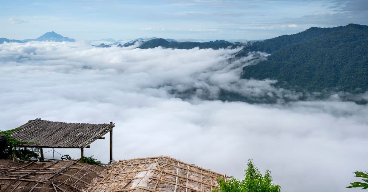 A bamboo lookout overlooks forested mountains rising above a thick blanket of clouds.
