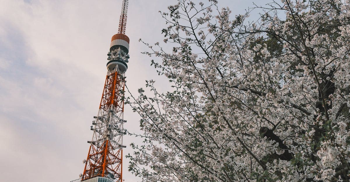 eSIM Japan 2026: Die besten Anbieter und Tarife im Vergleich