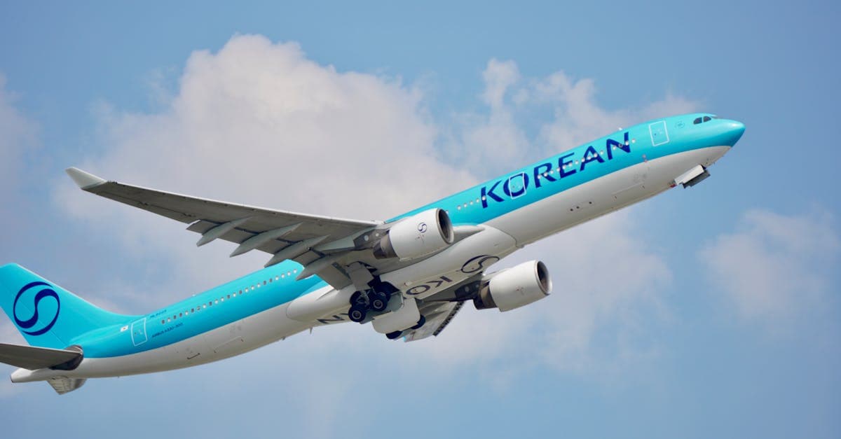 格安航空券で韓国へ飛ぶ鮮やかなブルーの機体が澄んだ青空へと力強く上昇する