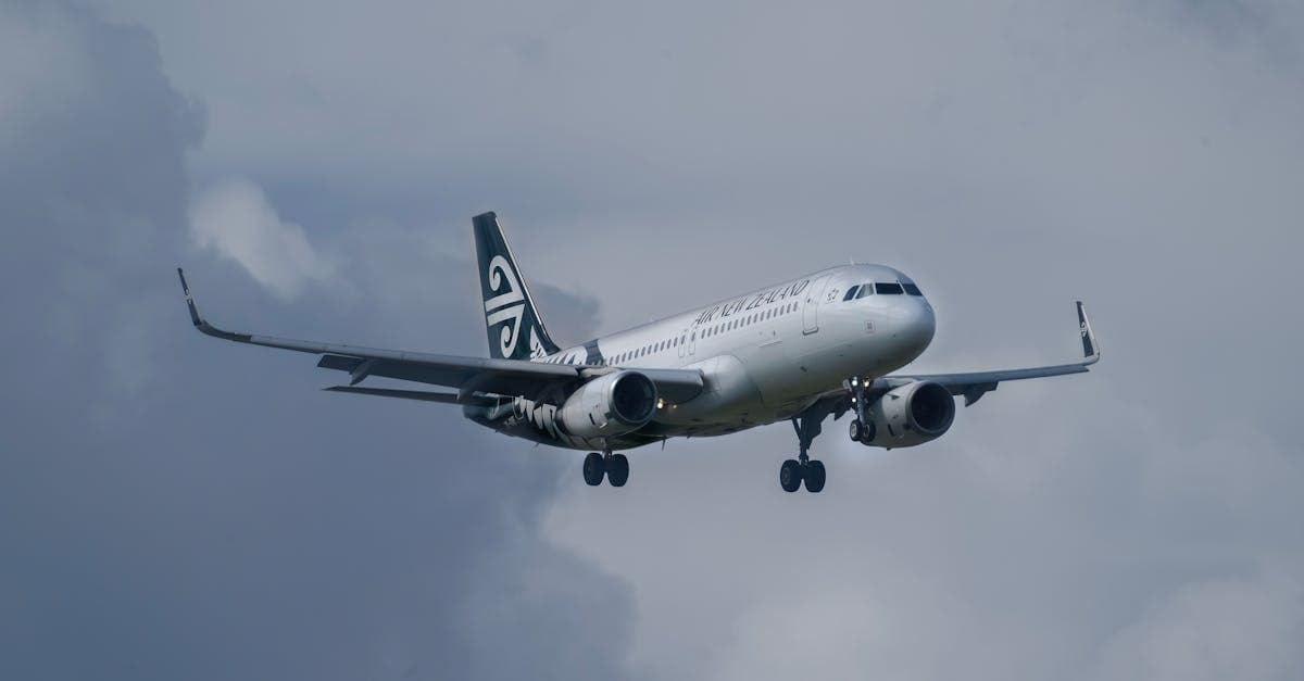 Air New Zealand plane in flight, representing affordable domestic budget flights New Zealand routes.![image