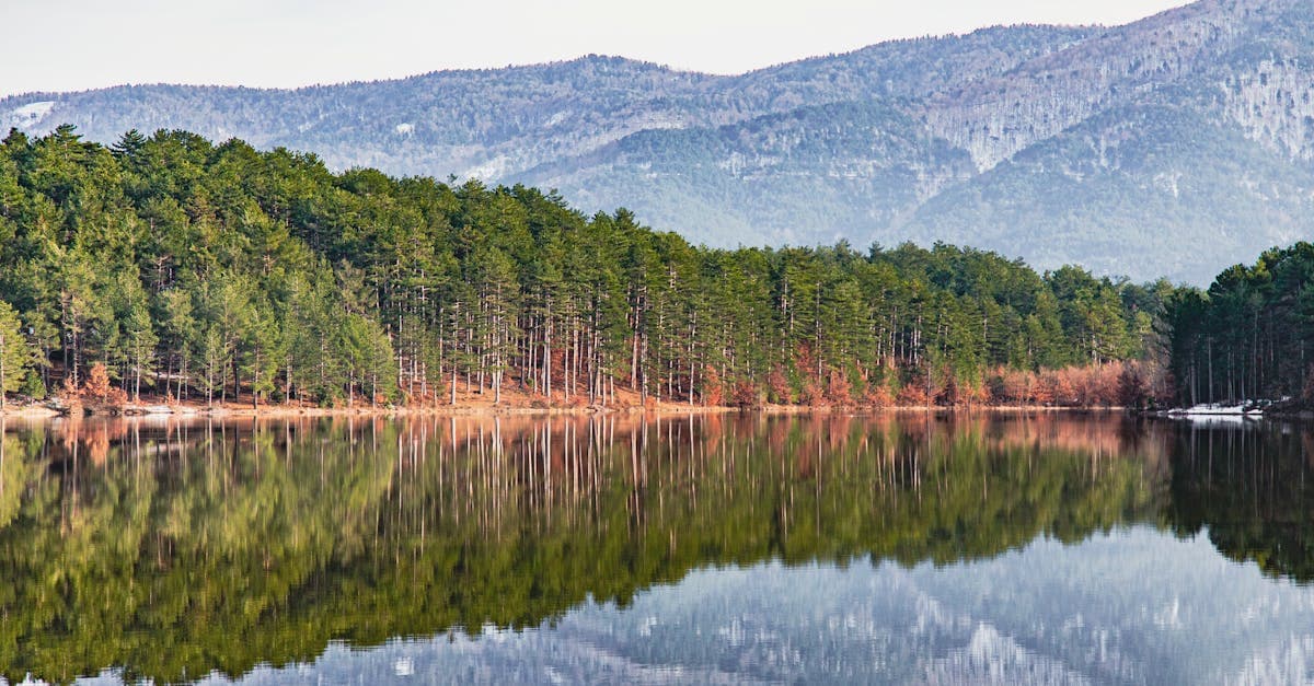 Rustig meer met weerspiegeling van bomen en bergen in Çanakkale, reisadvies turkije over vakantieveiligheid