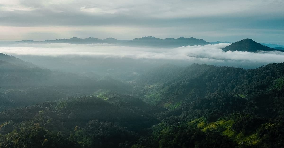 Nuvole avvolgono le montagne verdi di Tenerife, un paesaggio suggestivo da ammirare in una giornata fresca.