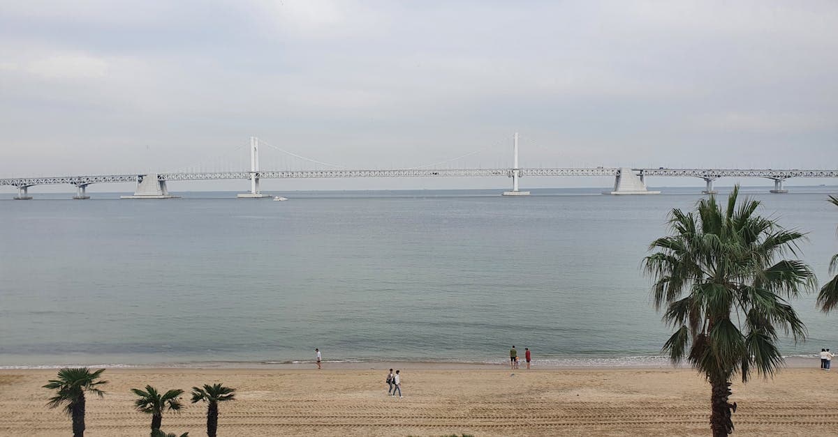 겨울에도 온화한 오키나와 날씨를 즐기기 좋은 아름다운 해변과 야경이 빛나는 다리