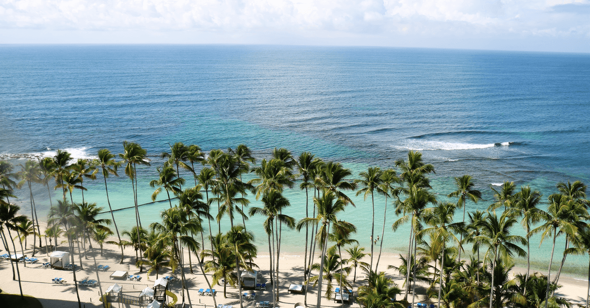 A palm-lined Caribbean beach with lounge chairs borders clear turquoise water and gentle waves.