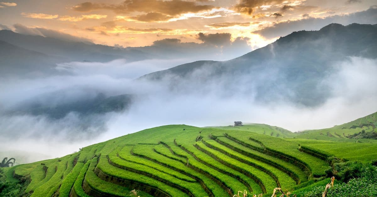 Grüne Reisterrassen liegen im Morgennebel vor dunklen Bergen, während die Sonne durch die Wolken bricht.
