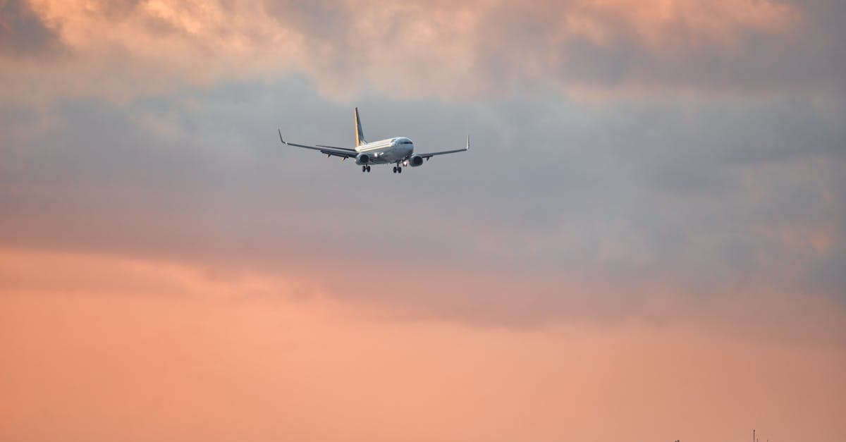 Flights to Bali From Australia: Airlines, Prices and Booking Tips for 2026