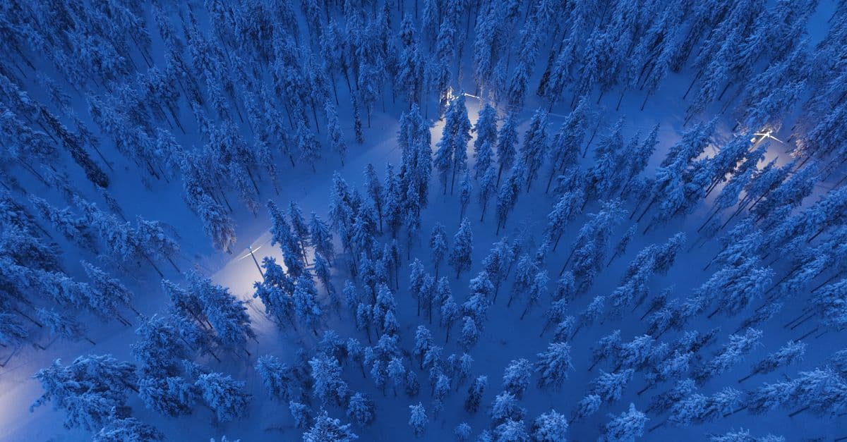 Lapland Trip From the UK: Direct Flights, Costs and When to Go - travel guide and eSIM advice for British travellers by HelloRoam
