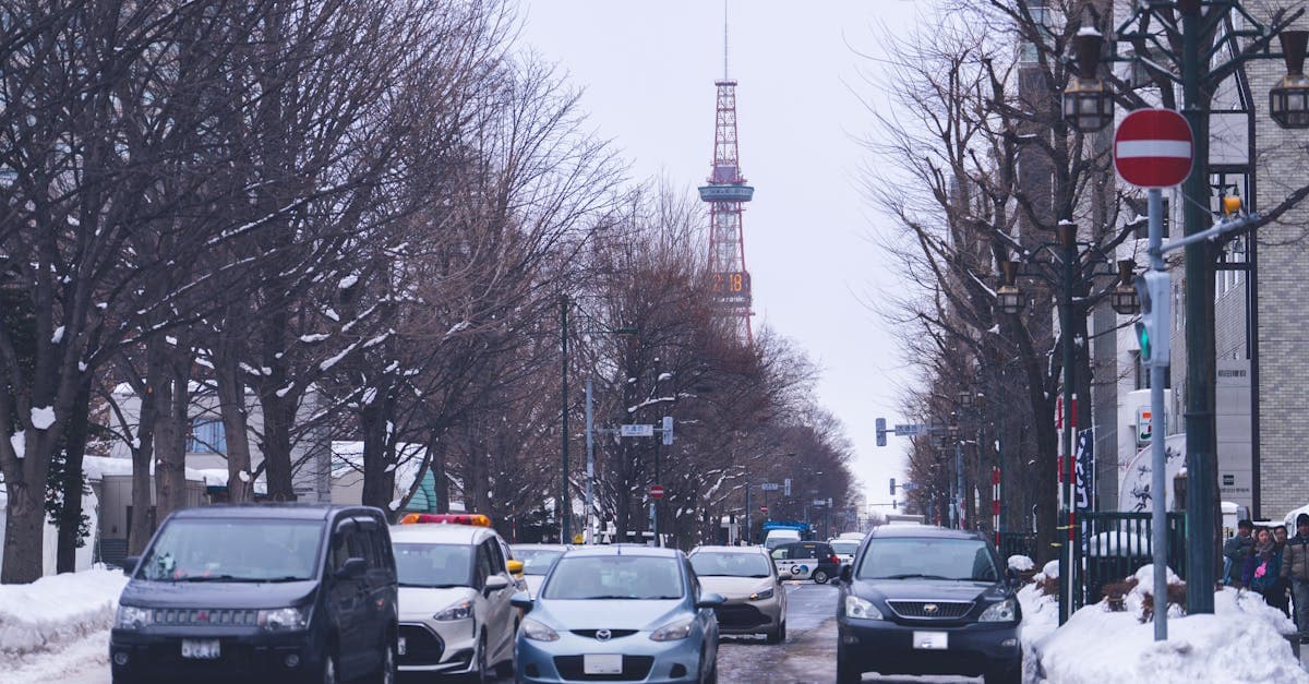 日本の冬景色と比較してわかる、ソウルの厳しい冬の天気と積雪した街並み