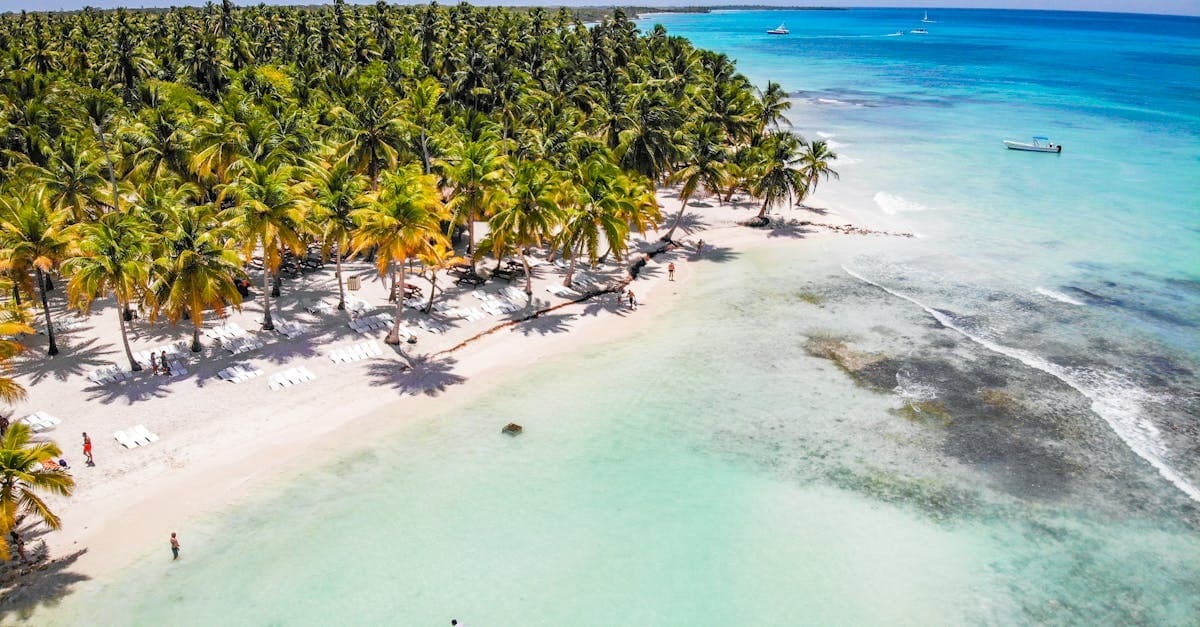 Que faire à Punta Cana : le guide complet pour les voyageurs canadiens (2026) - eSIM travel guide by HelloRoam
