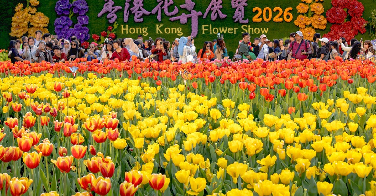 ゴールデンウィーク 2026のおすすめ観光イベント、香港フラワーショーに咲くカラフルなチューリップと訪れる大勢の観光客