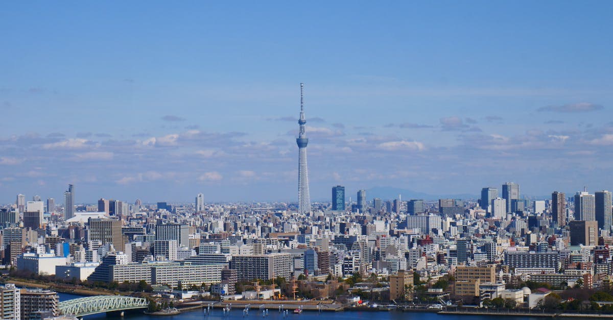 Luftaufnahme der Tokioter Skyline mit dem Tokyo Skytree unter strahlend blauem Himmel.