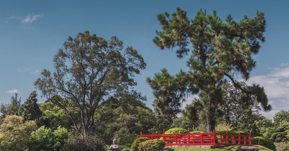 Clôture rouge et arbres dans un jardin japonais, illustrant les limites de l'eSIM Japon selon les zones