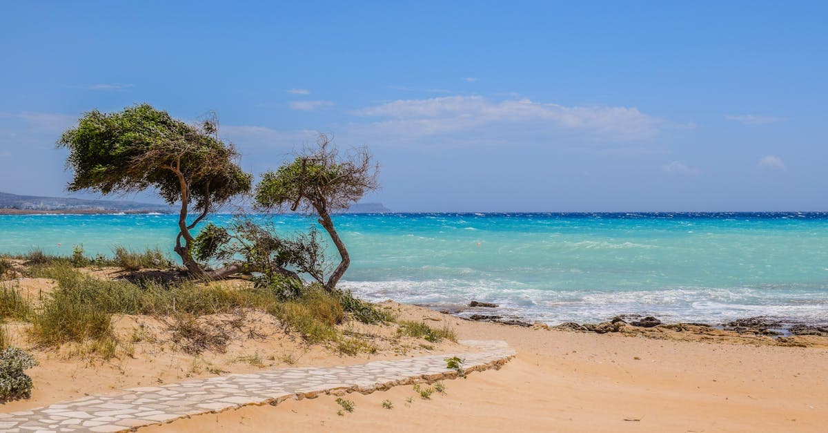 Ruhige Strandszene auf Kreta mit türkisblauem Wasser und Windkiefern – typisches Wetter Kreta im Überblick