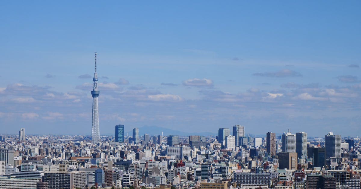Luftbild der Tokioter Stadtlandschaft mit Tokyo Skytree, dem höchsten Bauwerk Japans, bei klarem Wetter.