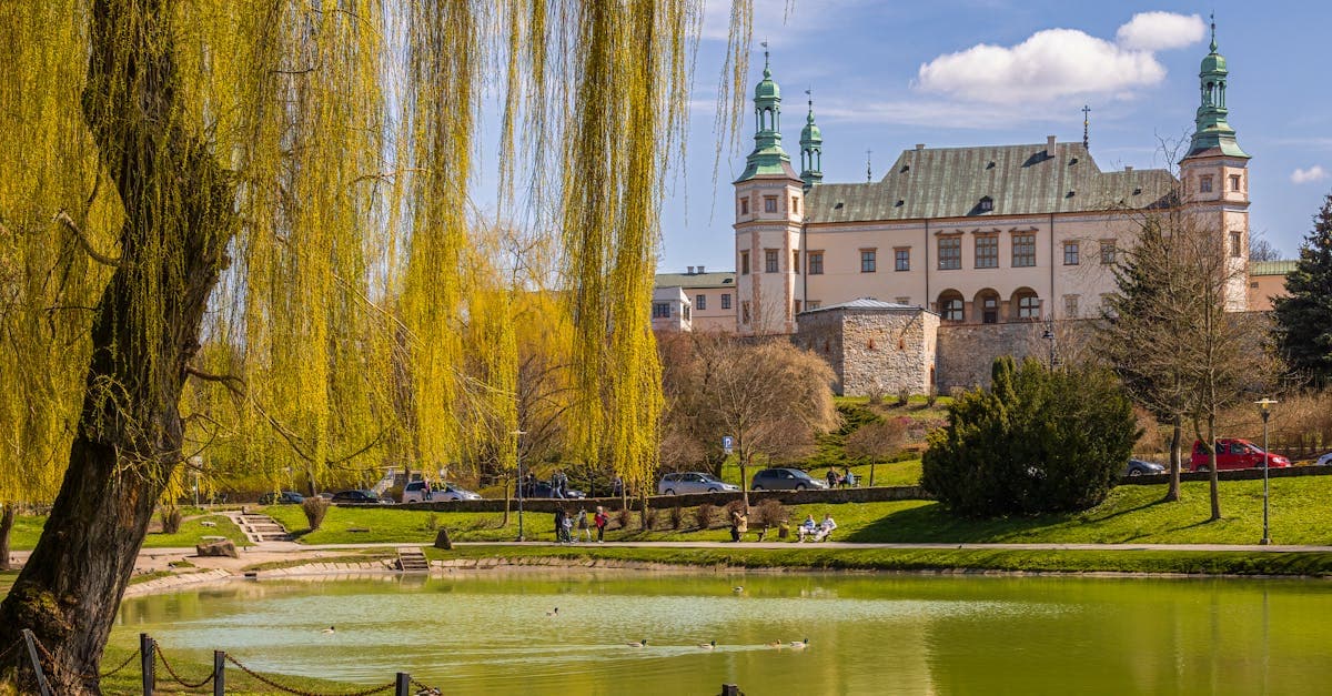 Wiosenny park z wierzbą płaczącą i zabytkowym budynkiem – idealna pora na wycieczkę do Pragi