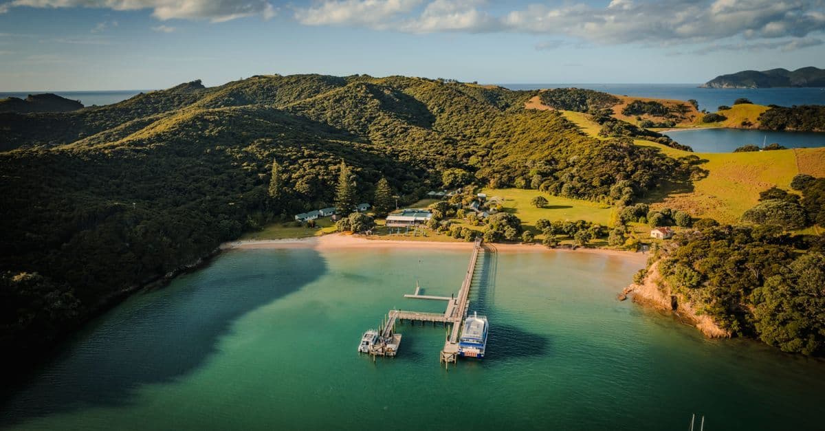 Scenic pier stretching into turquoise Northland waters, a top stop when you travel to New Zealand