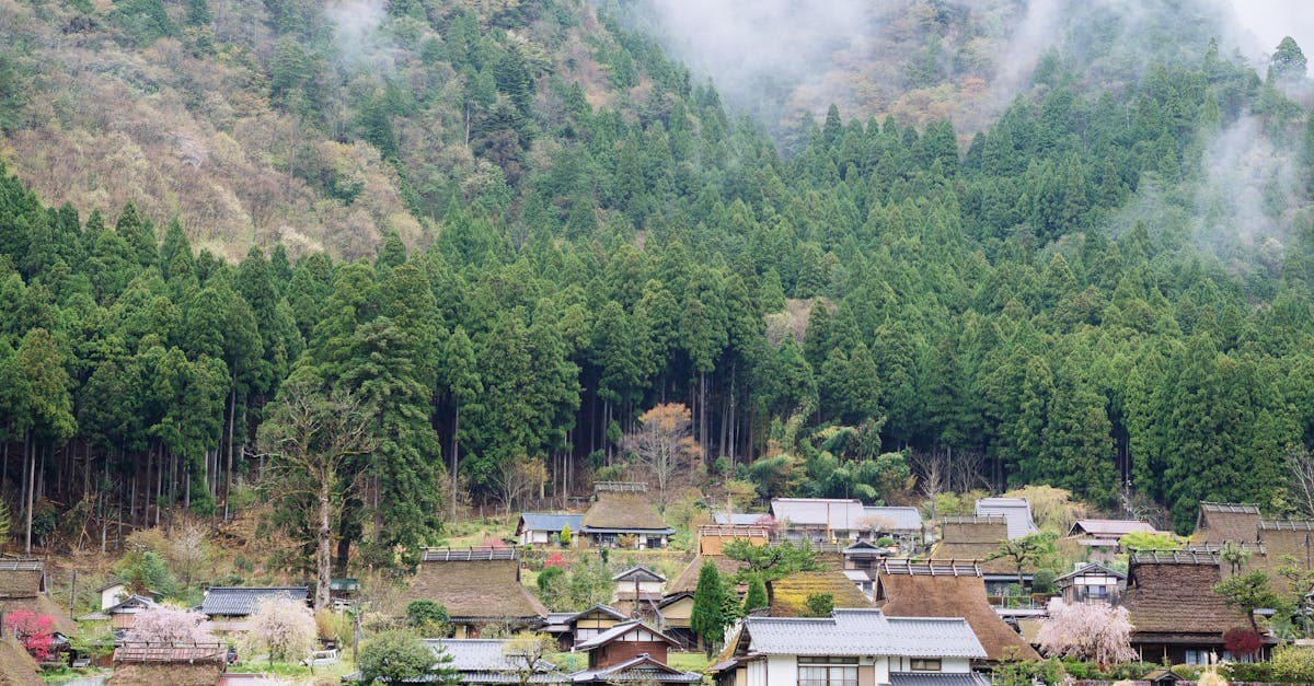 Misty traditional Japanese village in Kyoto showing where portable wifi Japan keeps you connected rurally