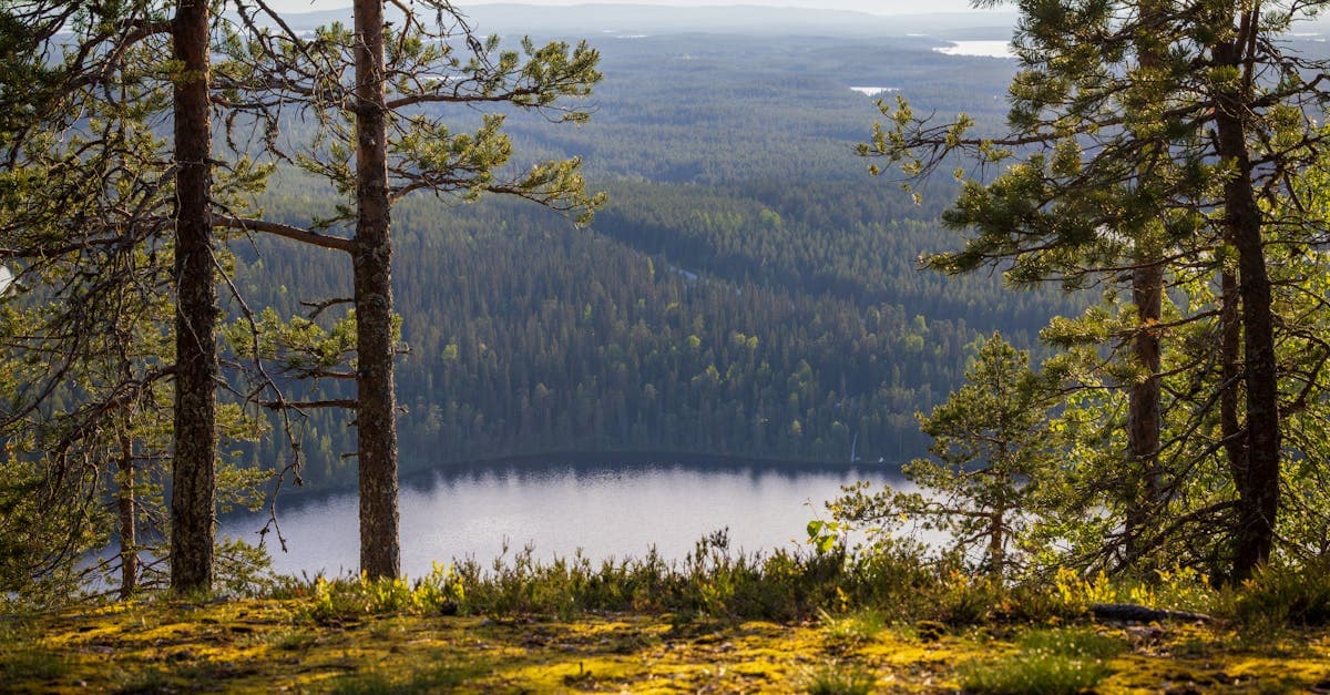 Kuusamon kaunis maisema muistuttaa, että matkavakuutus ei korvaa kaikkia matkalla sattuvia tilanteita.